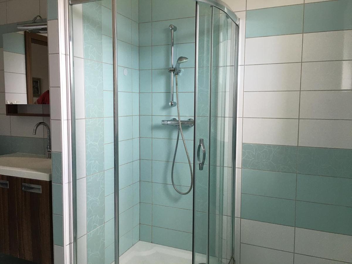 Apartman Krasna Vyhlidka Dolni Benesov Екстер'єр фото
